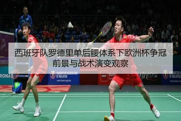 西班牙队罗德里单后腰体系下欧洲杯争冠前景与战术演变观察